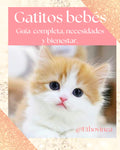 Gatitos bebés, guía completa, necesidades y bienestar.