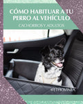 Cómo Habituar a tu Perro al Vehículo