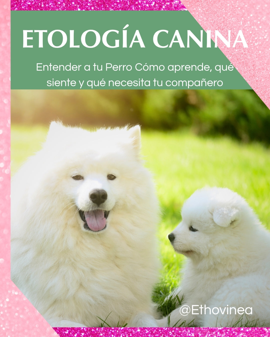 Etología Canina