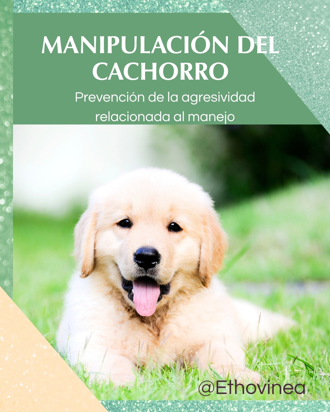 Manipulación del cachorro