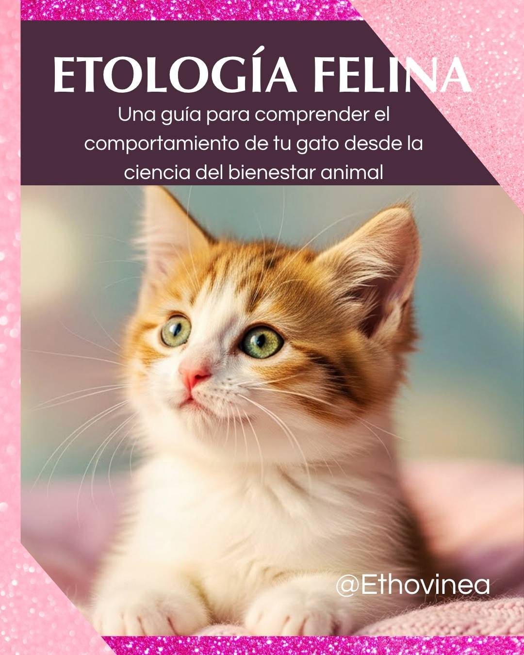 Etología Felina